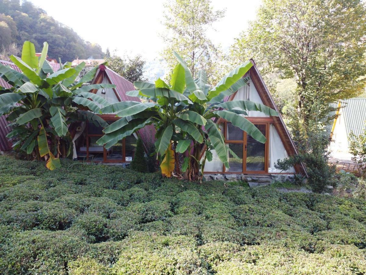 Tabiat Bungalows Otel Camlihemsin Ngoại thất bức ảnh