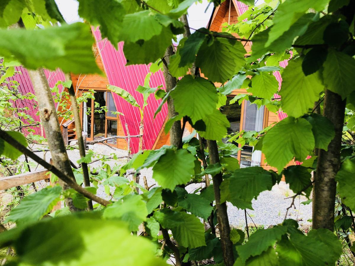 Tabiat Bungalows Otel Camlihemsin Ngoại thất bức ảnh